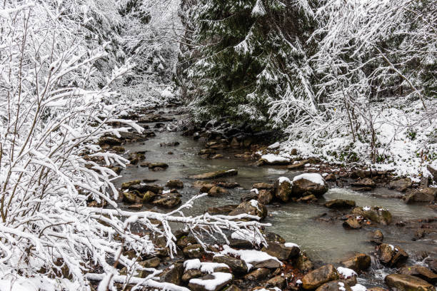 istock First snow in the mountains 1442717424