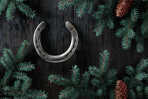 Old horseshoe and spruce branches on a black wooden background. Copy space.