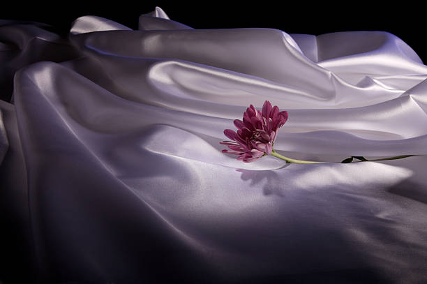 Flower and Satin stock photo