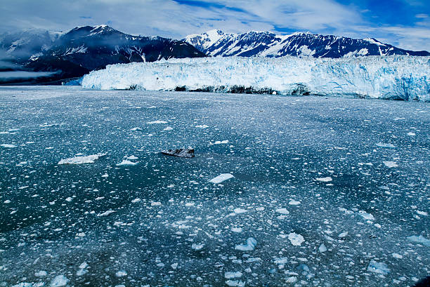 acqua fredda ghiaccio blu del ghiacciaio di riscaldamento globale serie - global warming earth globe warming up foto e immagini stock