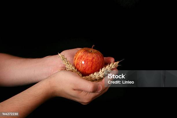 Photo libre de droit de Reconnaissant banque d'images et plus d'images libres de droit de Agriculture - Agriculture, Blé, Croissance