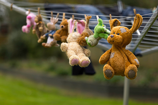 Infants cuddly toys drying out in the fresh air.