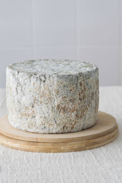 whole round blue cheese wheel on wooden cutting board on light background, selective focus - cheese gorgonzola blue animal vein imagens e fotografias de stock