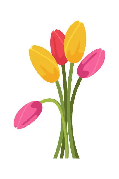 Vector illustration of Bouquet of tulips Floral design element. Vector illustration