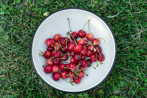 Fresh red sweet cherries fruit. Organic berries for jam, juice, smoothie, compote, desserts and cakes. Bowl of juicy sweet cherries on green grass. Organic fruits in the village top view