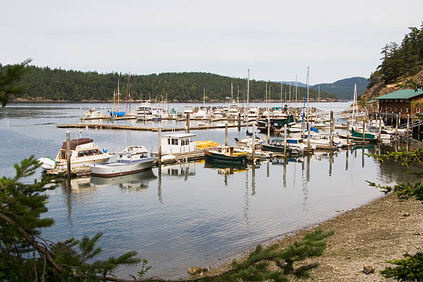 istock Boats in Spencers Landing Marina 144272938