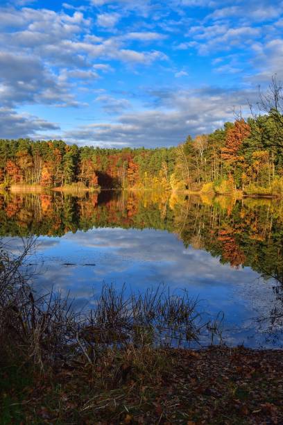 istock Autumn scene by the water. 1442730430