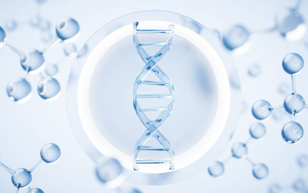 istock DNA and biology concept, 3d rendering. 1442730646