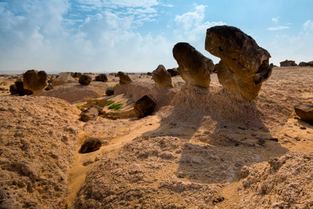 Rock garden in Duqm, Oman