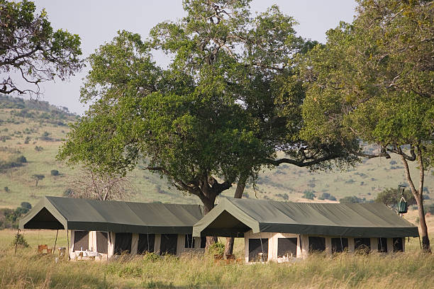 istock Luxury Safari Tents 144273269