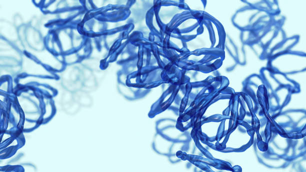 istock Spiral bacteria infection 3d illustration 1442740076
