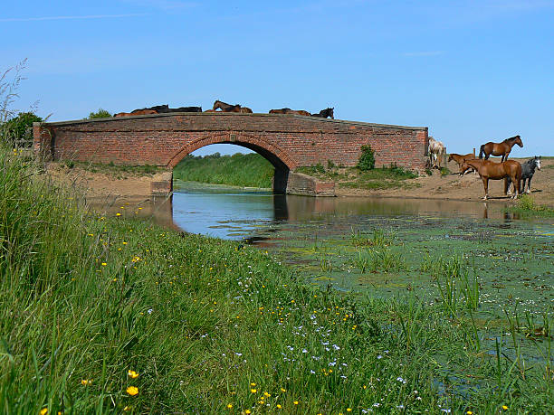 a flow restriction device on the river at Youlgreave