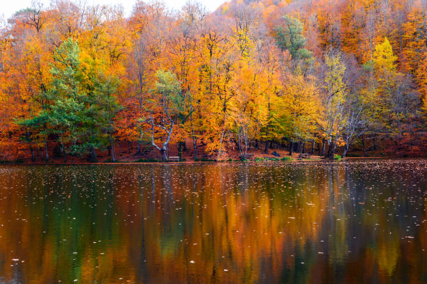 istock Yedigoller national park 1442740977
