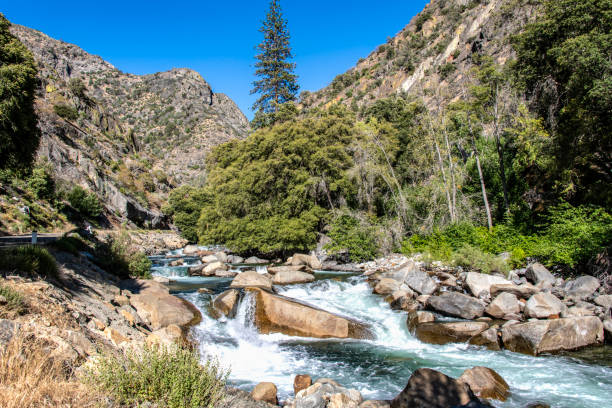 Kings River A cascade in the Kings River in Kings Canyon National Park. robert michaud stock pictures, royalty-free photos & images