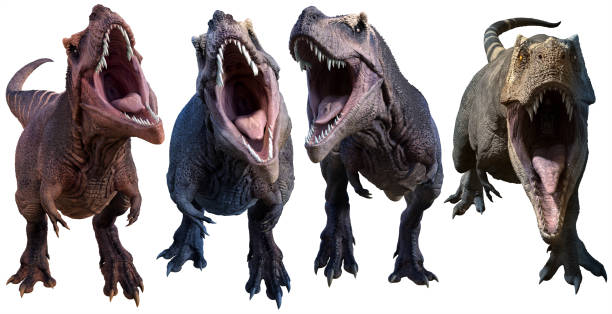 Tyrannosaurus facing forward 3D renders stock photo