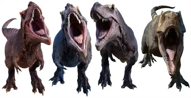 Photo of Tyrannosaurus facing forward 3D renders