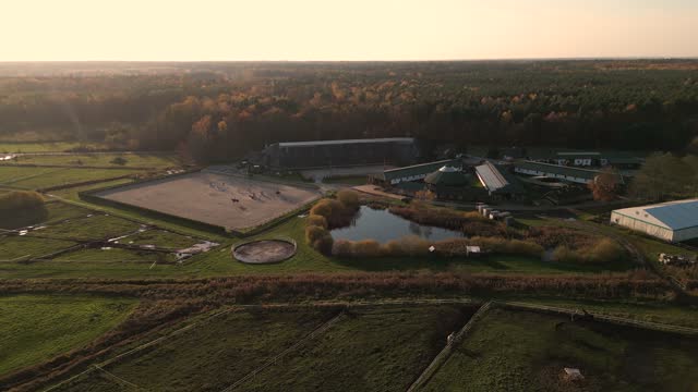 Aerial view of horse rider and horse on training ground at sunset.