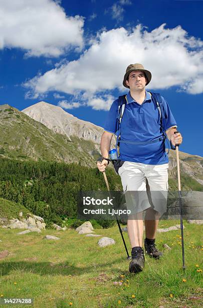 Parque Nacional De Caminhada Na Pirin Bulgária - Fotografias de stock e mais imagens de Adulto - Adulto, Andar, Ao Ar Livre