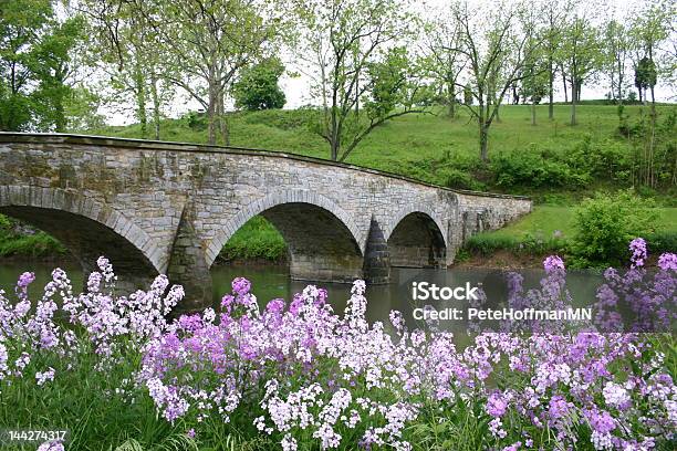 Most Nad Antietam - zdjęcia stockowe i więcej obrazów Stan Maryland - Stan Maryland, Pole bitwy nad Antietam, Sharpsburg