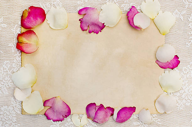 istock frame made of rose petals 144274345