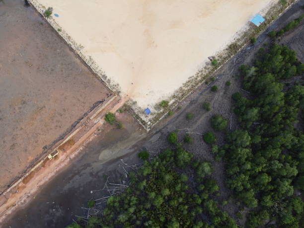 conversion of mangrove forest land into a port - lumber industry aerial view oil tropical rainforest imagens e fotografias de stock