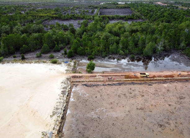 conversion of mangrove forest land into a port - lumber industry aerial view oil tropical rainforest imagens e fotografias de stock