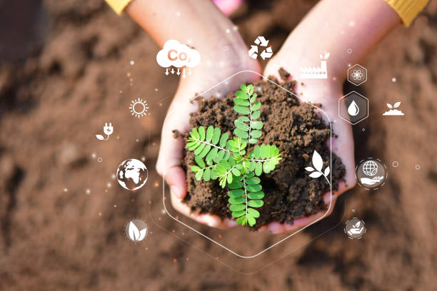 istock Hand planting trees with technology of renewable resources, Net Zero 2050 Carbon Neutral and Net Zero Concept 1442743984