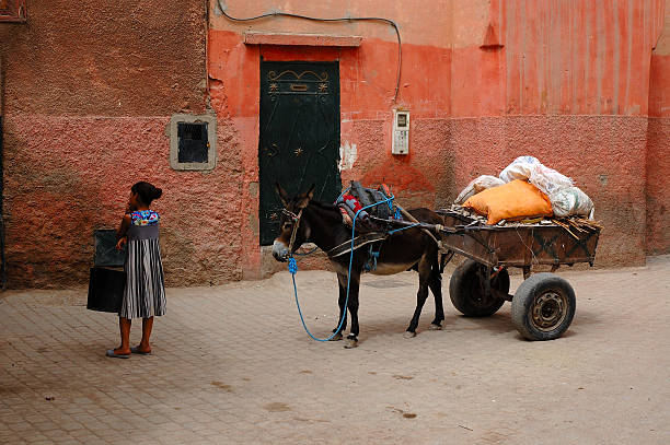 Girl with donky on the lanes of marrakech