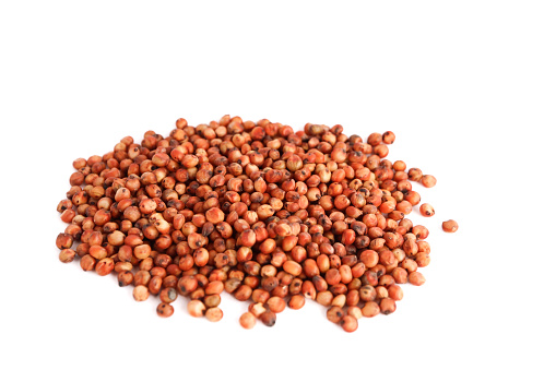 Red sorghum on a white background