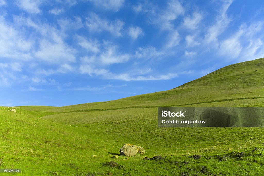 Grünen Wiese Blau Himmel - Lizenzfrei Bunt - Farbton Stock-Foto