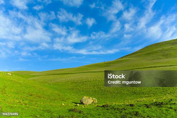 Grünen Wiese Blau Himmel Stockfoto und mehr Bilder von Bunt - Farbton - Bunt - Farbton, Frühling, Horizontal