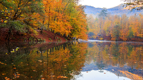 Yedigoller national park