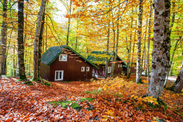 Yedigoller national park