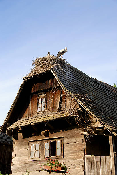 istock Storck nest on the roof 144274746