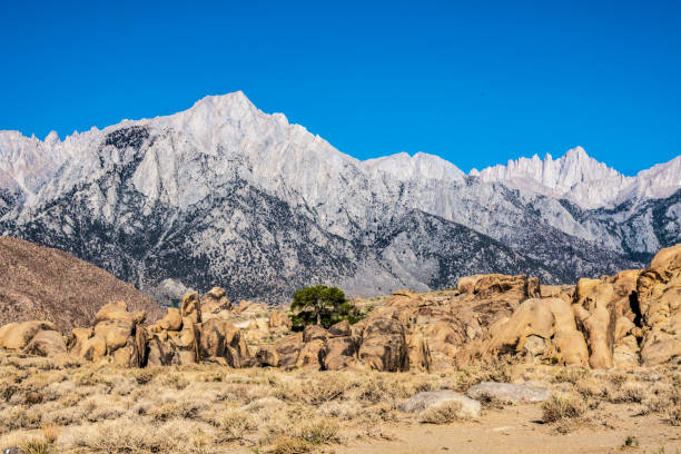 Sierras - Alabama Hills 2 The eastern Sierra Nevada Mountains and Mount Whitney with the Alabama Hills in the foreground. robert michaud stock pictures, royalty-free photos & images