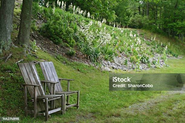 Puste Krzesła - zdjęcia stockowe i więcej obrazów Bez ludzi - Bez ludzi, Drewno - Tworzywo, Drzewo