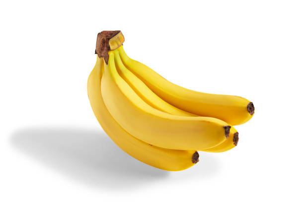 istock Branch of yellow bananas 1442749435