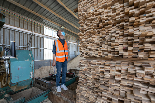 A male technician works in a wood processing factory