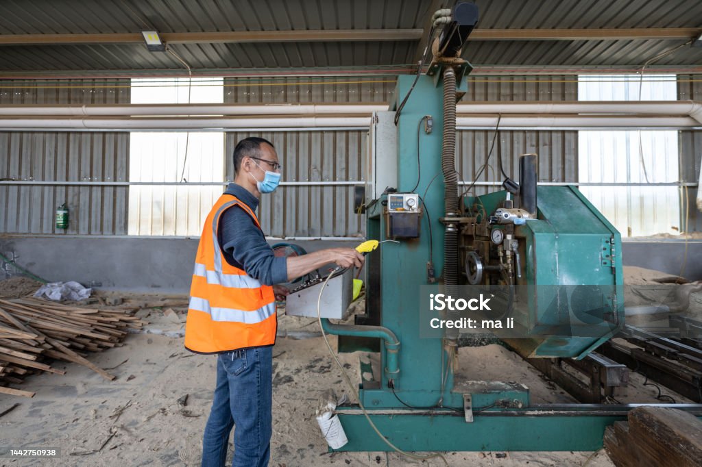 A male technician works in a wood processing factory Pileated Woodpecker Stock Photo