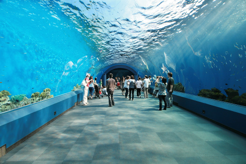 People inside a aquarium tunnel