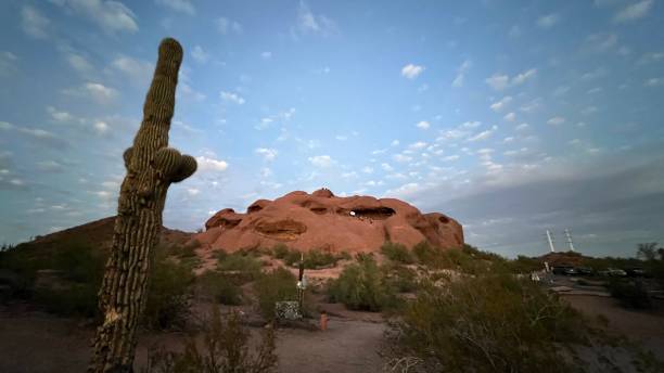 istock Cactus in Papago Park, Phoenix, Arizona 1442753306