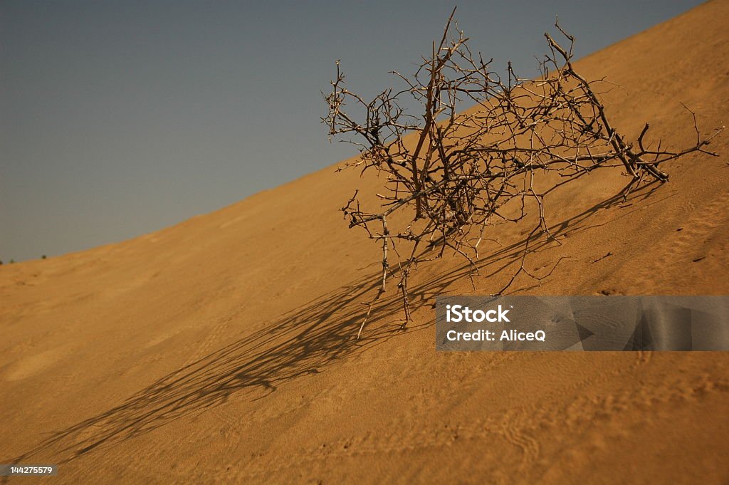 Deserto - Foto de stock de Abstrato royalty-free