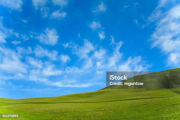 緑の芝生ブルースカイ - 丘のストックフォトや画像を多数ご用意 - 丘, Horizon, なだらかな起伏のある地形