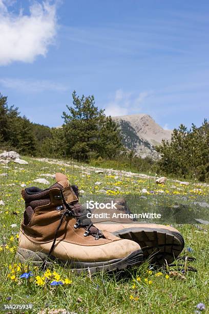 Verão Nas Montanhas - Fotografias de stock e mais imagens de Ao Ar Livre - Ao Ar Livre, Atividade, Atividade Recreativa