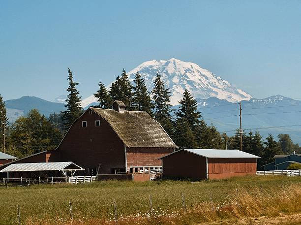 istock Old Farm House in Enumclaw WA 144275960