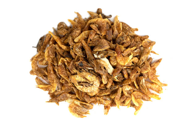 istock the Dried Shrimp Pet Food 1442760146