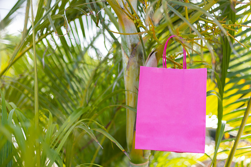 Two pink paper bags near palm tree, closeup. Closeup.Mockup.