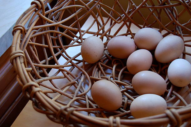 Eggs in One Basket stock photo