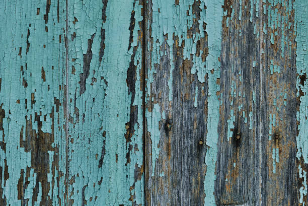 istock Old wooden planks wall with blue celeste peeling paint 1442765561