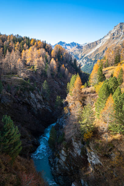 istock River plunges down into a canyon in the Swiss Alps 1442769764